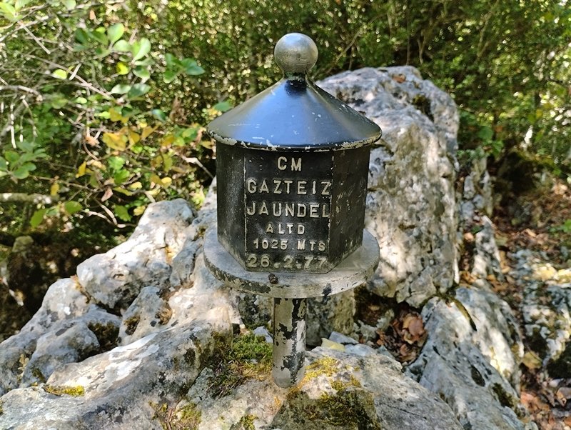 Buzoia