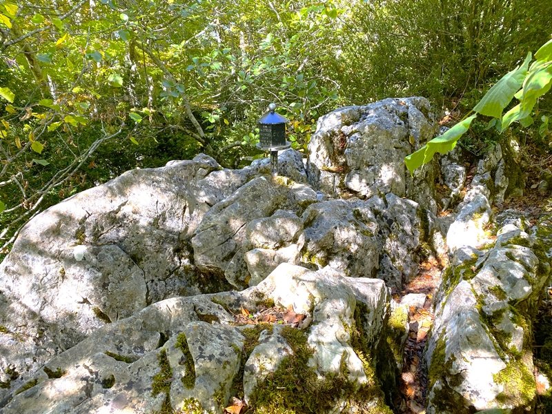Tontorra