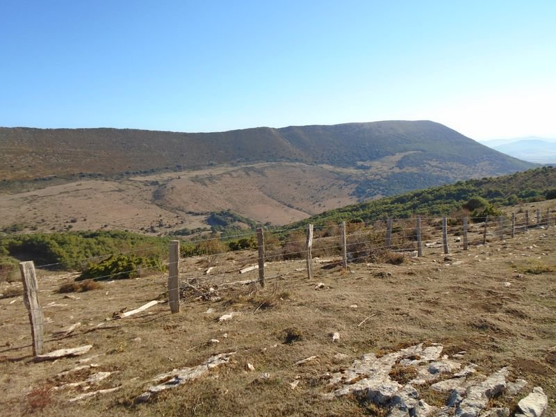 samurra 2