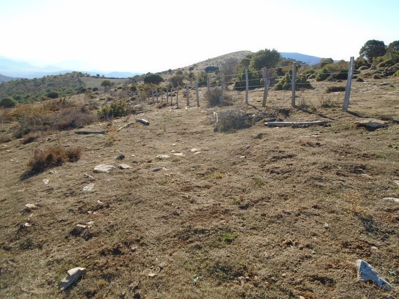 samurra 2