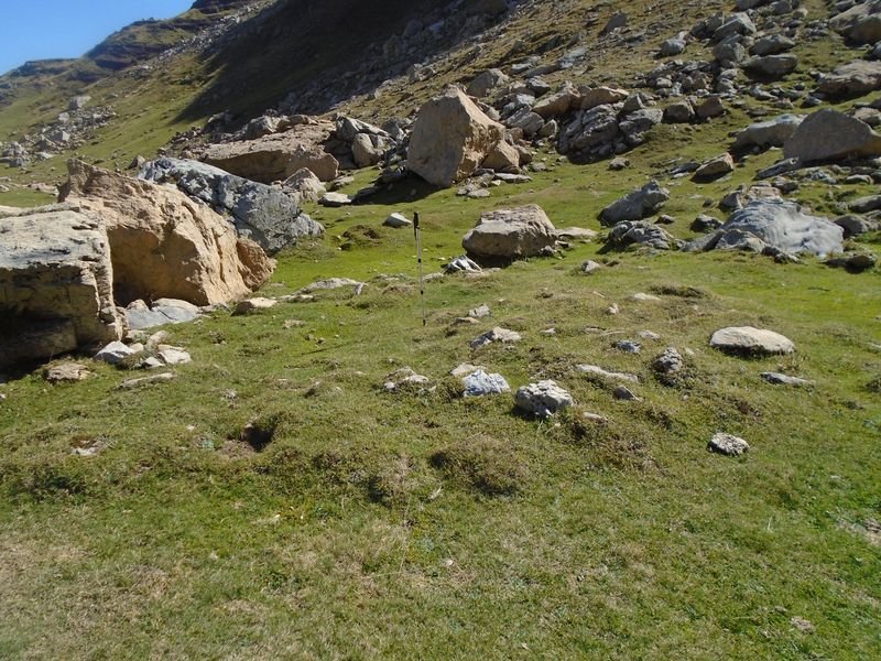 secús