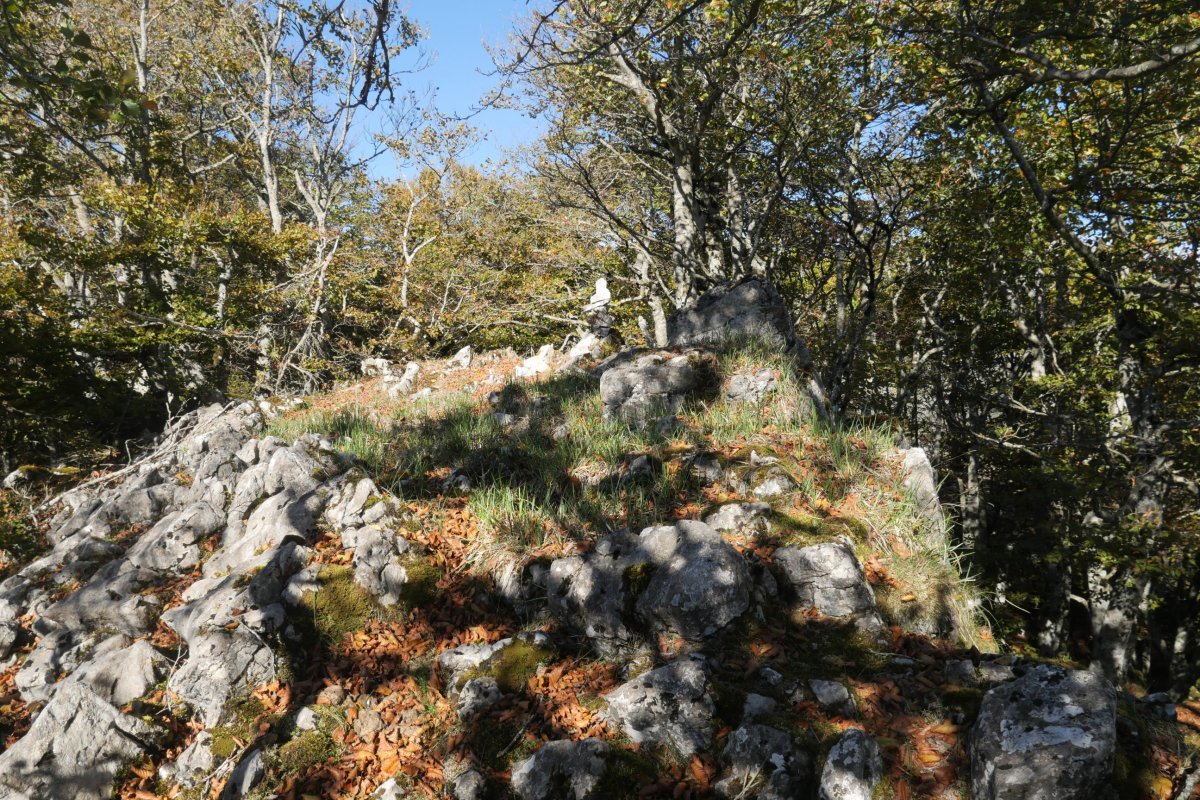 Tontorra, Uazkuru