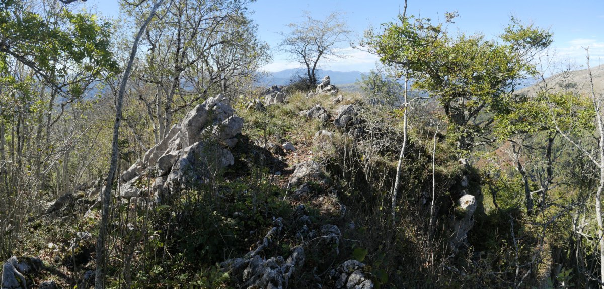 Tontorra, Akaitz