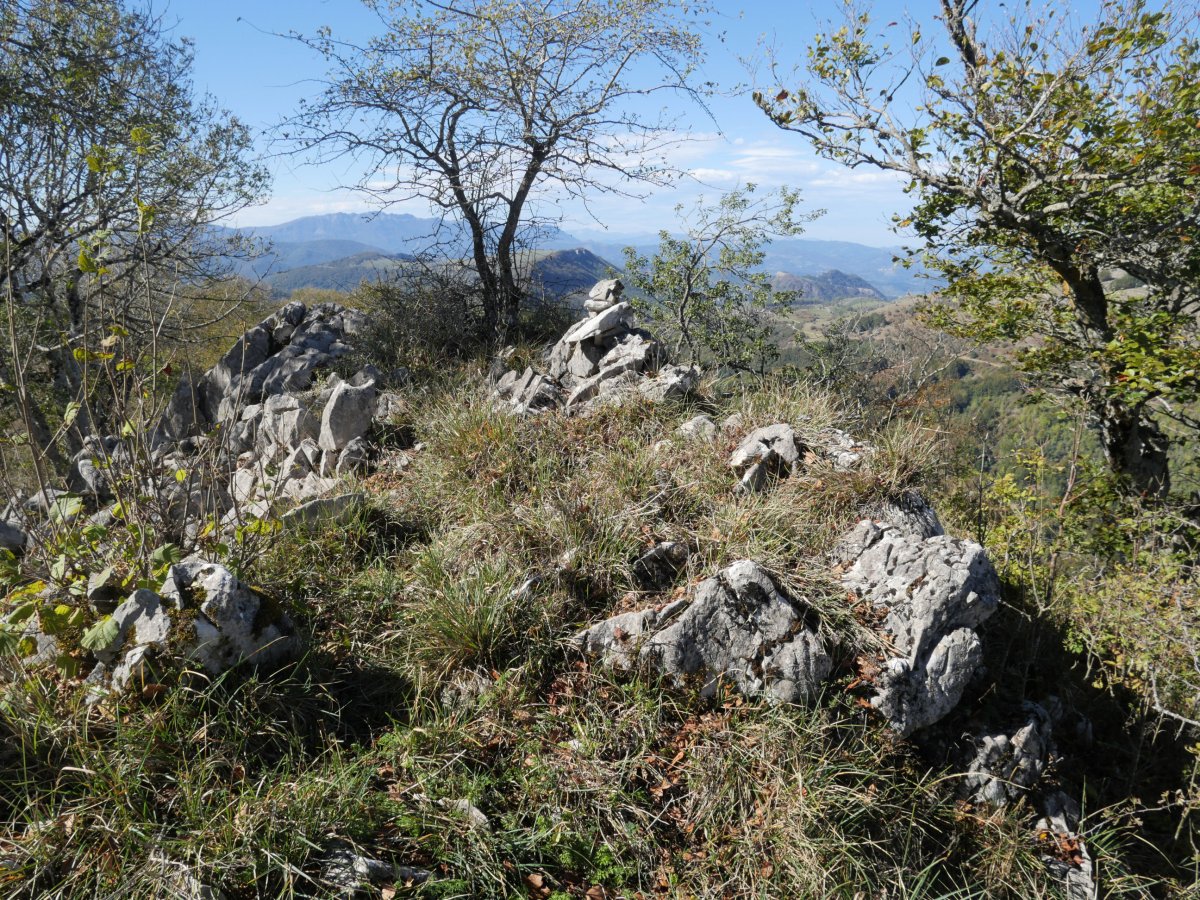 Tontorra, Akaitz