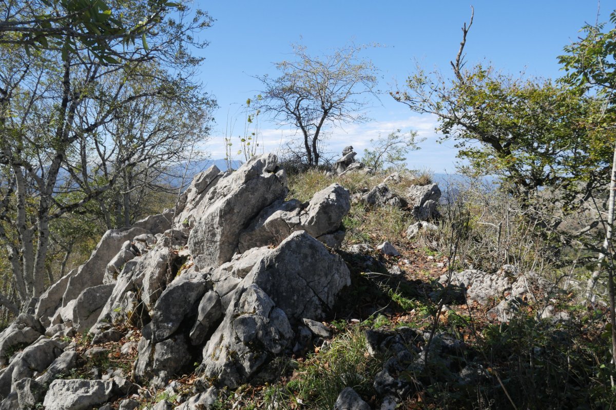 Tontorra, Akaitz