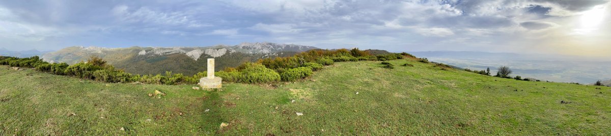 Tontorra