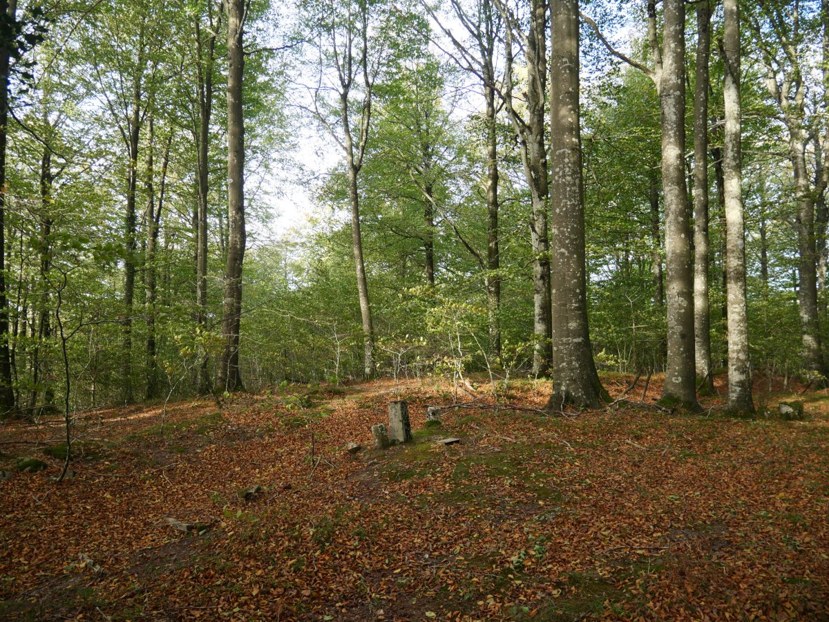 Malkorburu gailurra