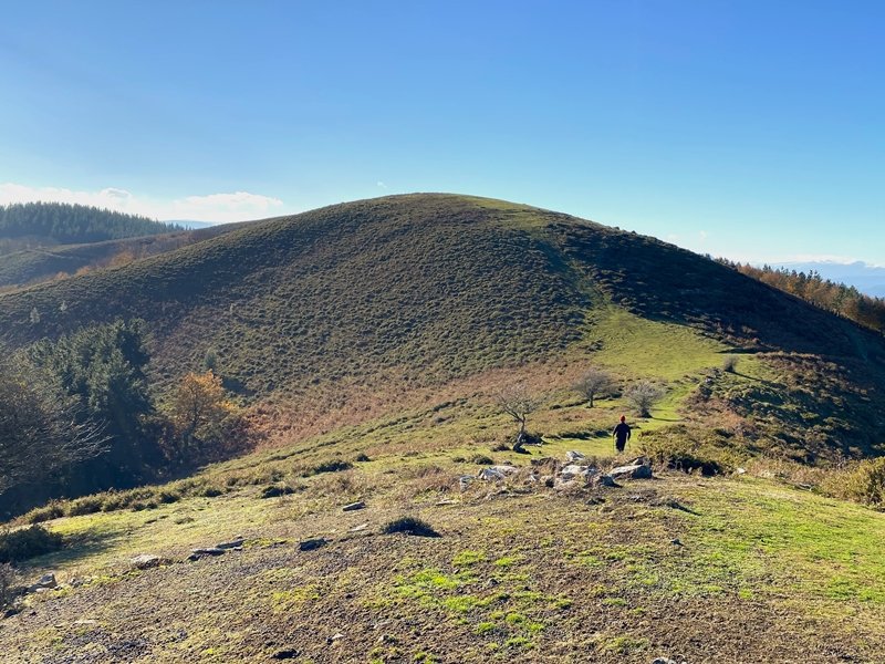 Larragorri