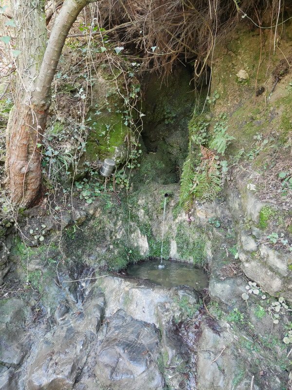 Garduzulo iturria