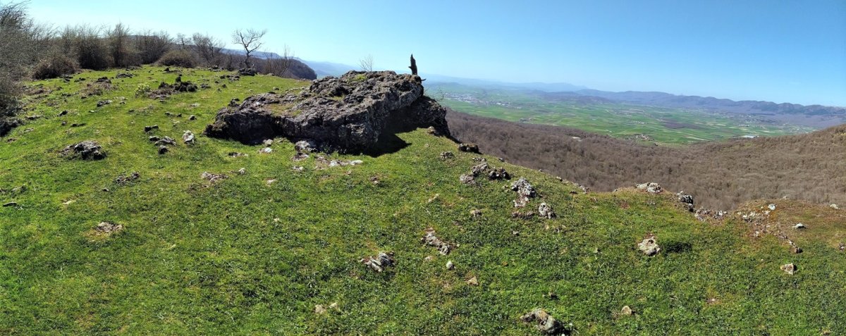 Tontorra