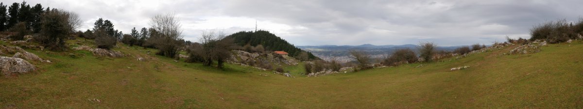 Pagasarrikolanda