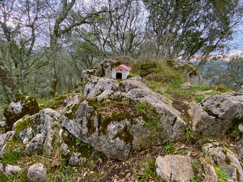 Tontorra