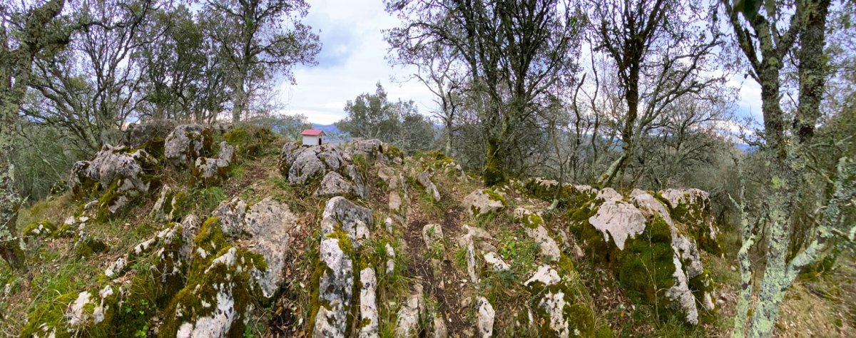 Tontorra