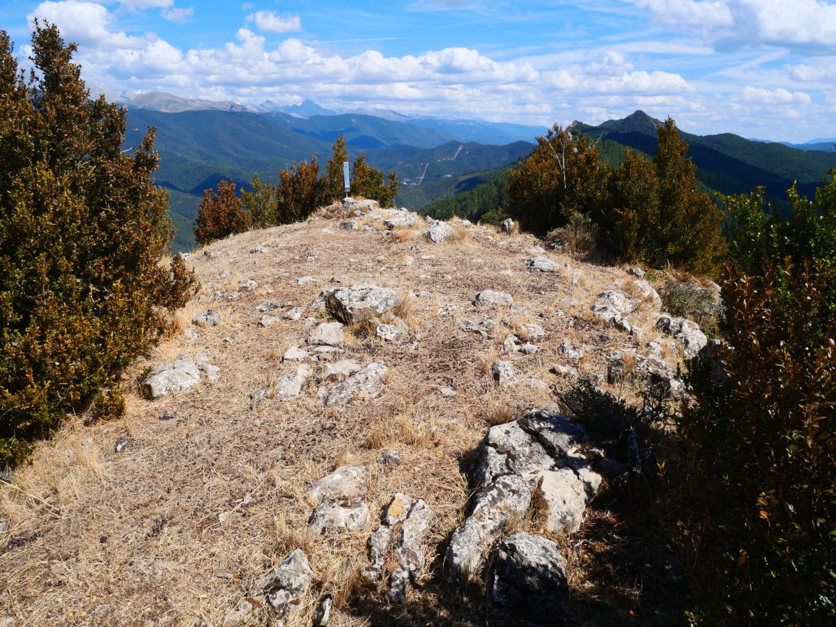 San Migel tontorra