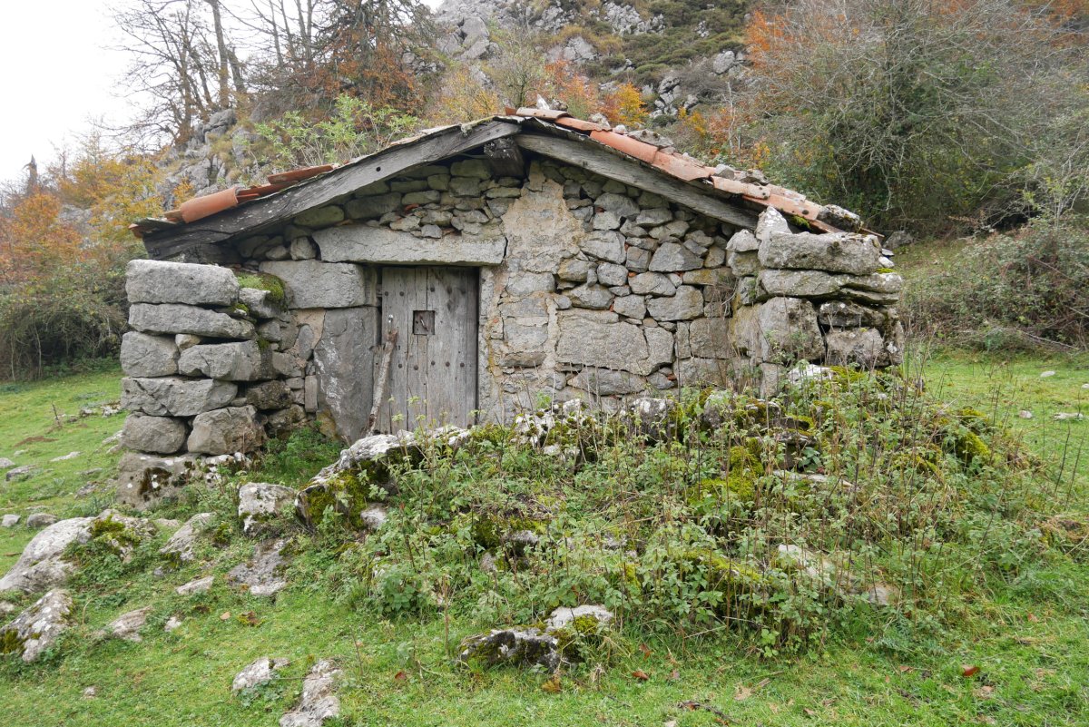 Bustintzako borda