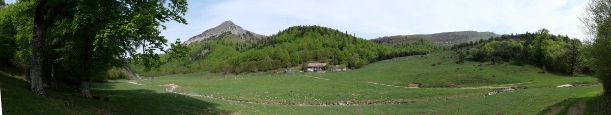 Lintzako zabala