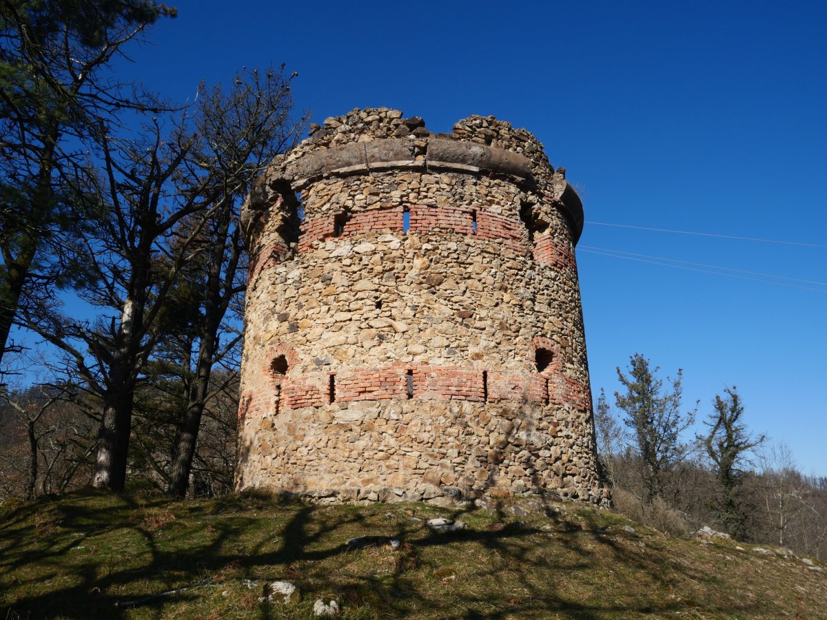 Pikako torrezarra