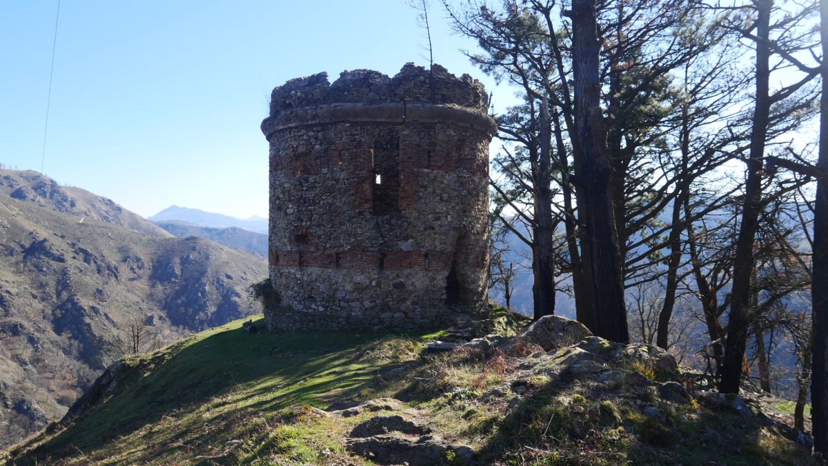 Pikako torrezarra