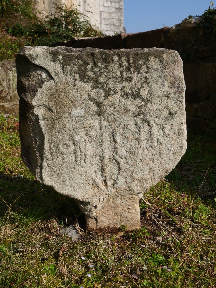 Bera 21 hilarria