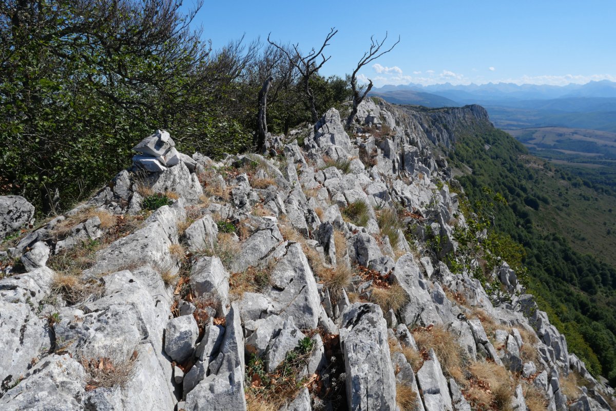 Tontorra, Arrondoa