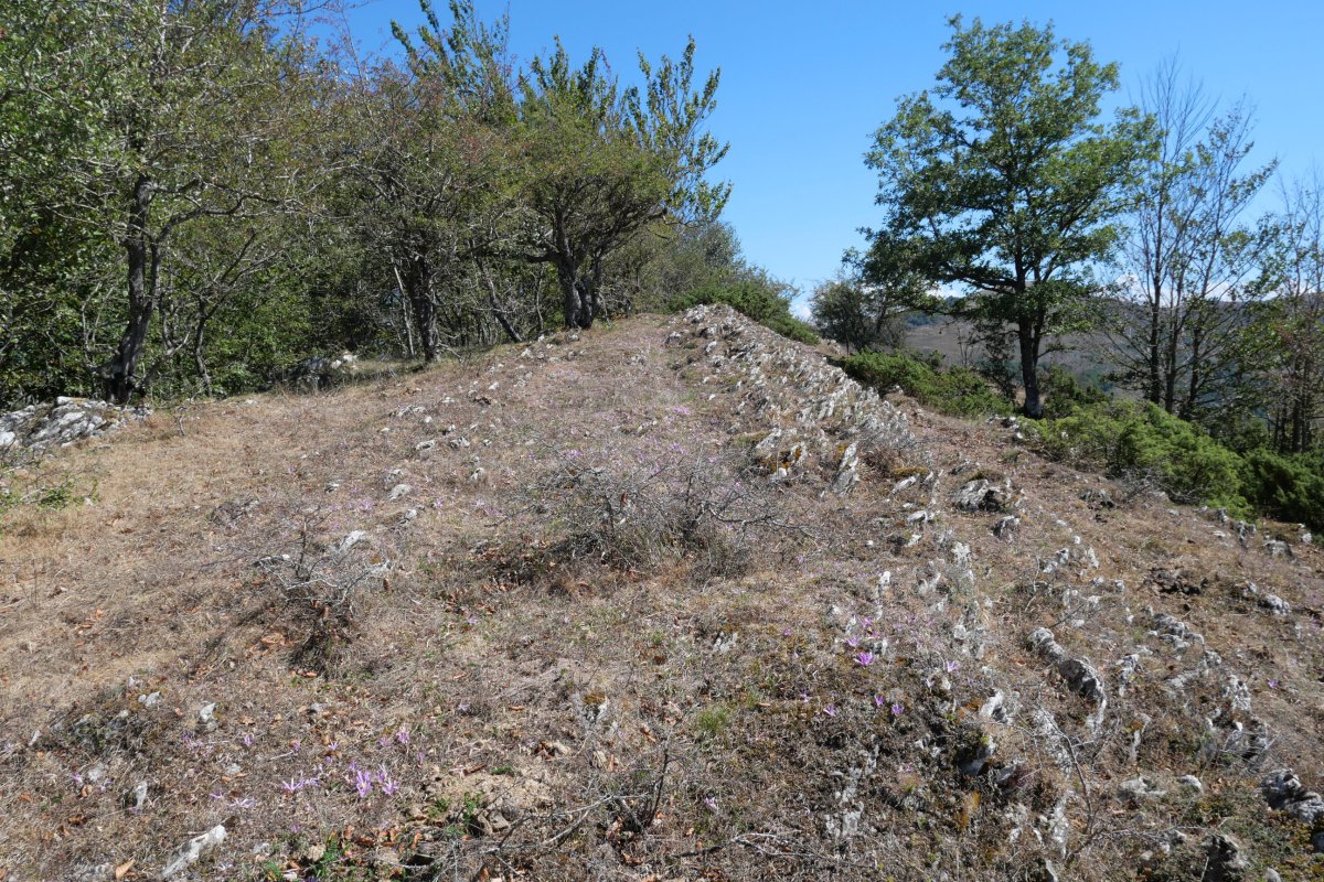 Ugagibel tontorra