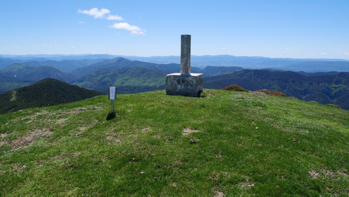 Kalbeira tontorra