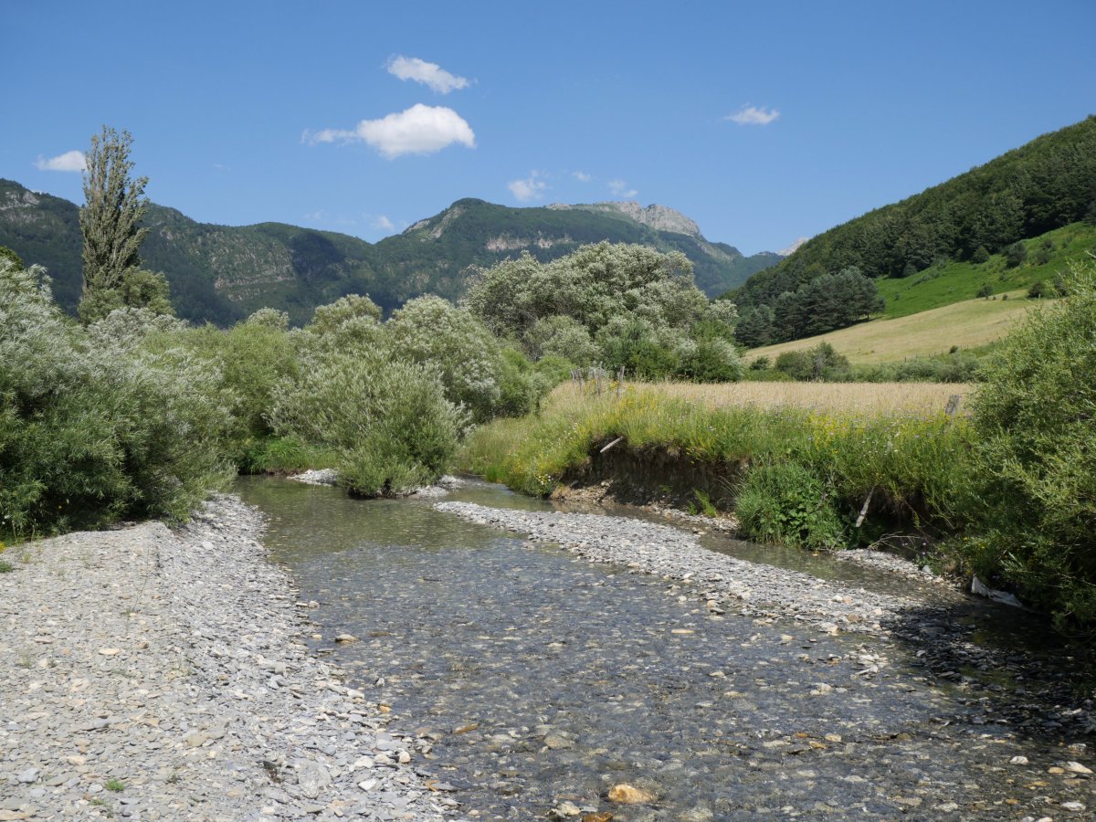 Belagua erreka