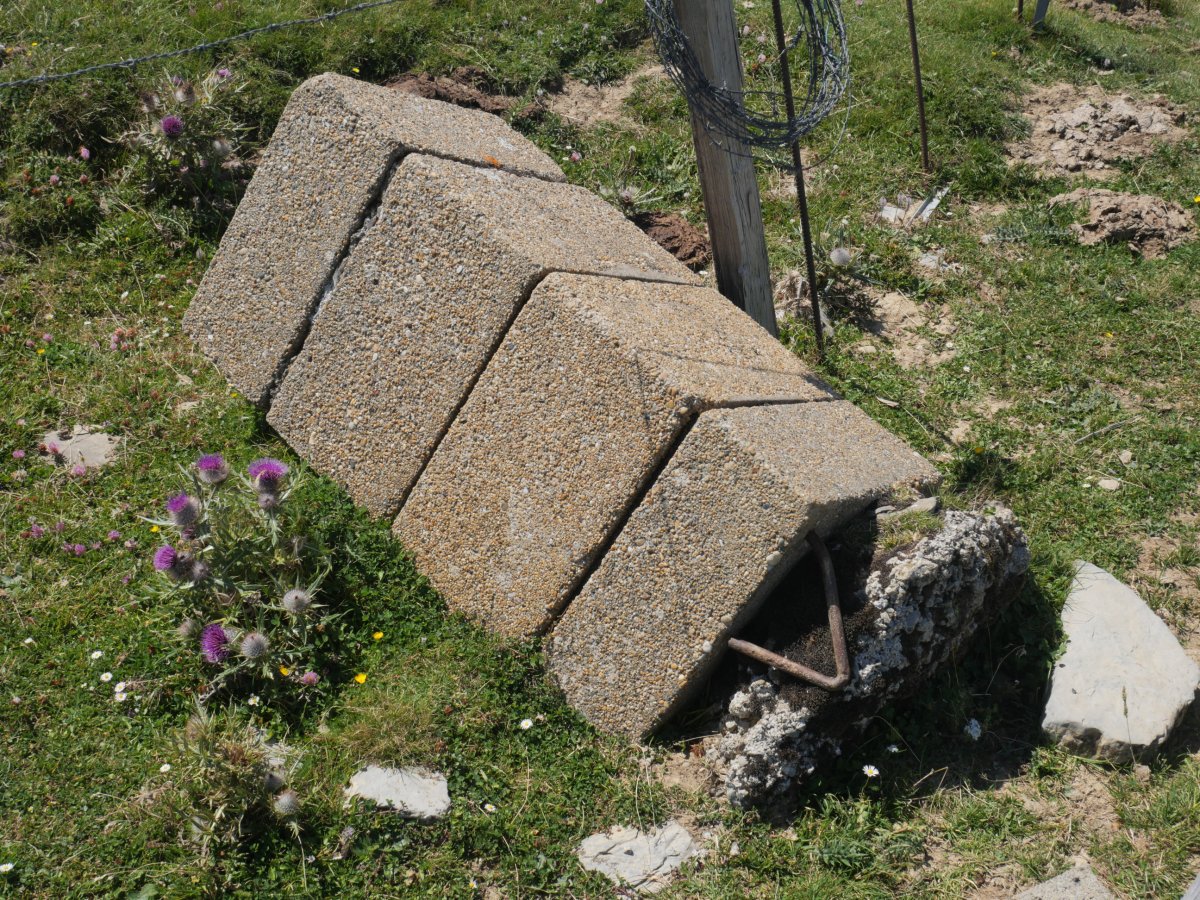 245 mugarria