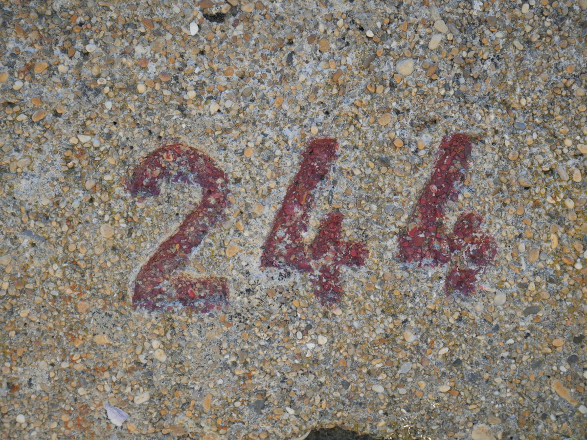 244 mugarria