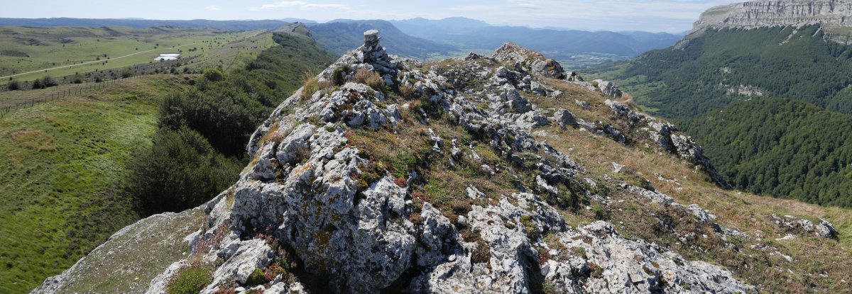 Aitzorrotz tontorra