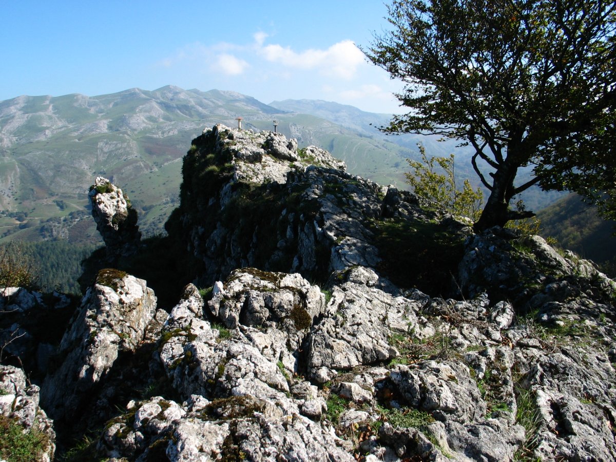 Tontorra