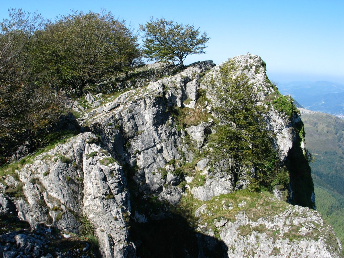 Tontorra Etik