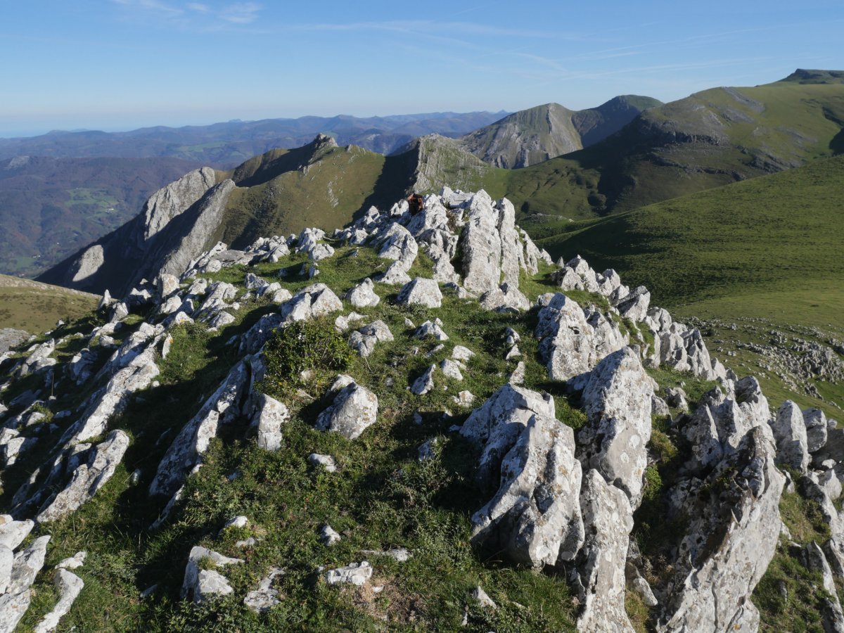 Auntzizegi tontorra