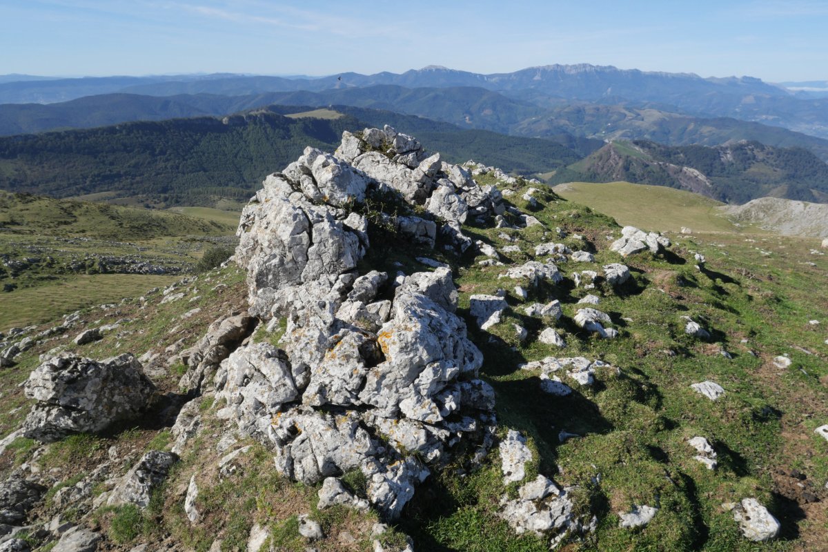 Kilixketa tontorra