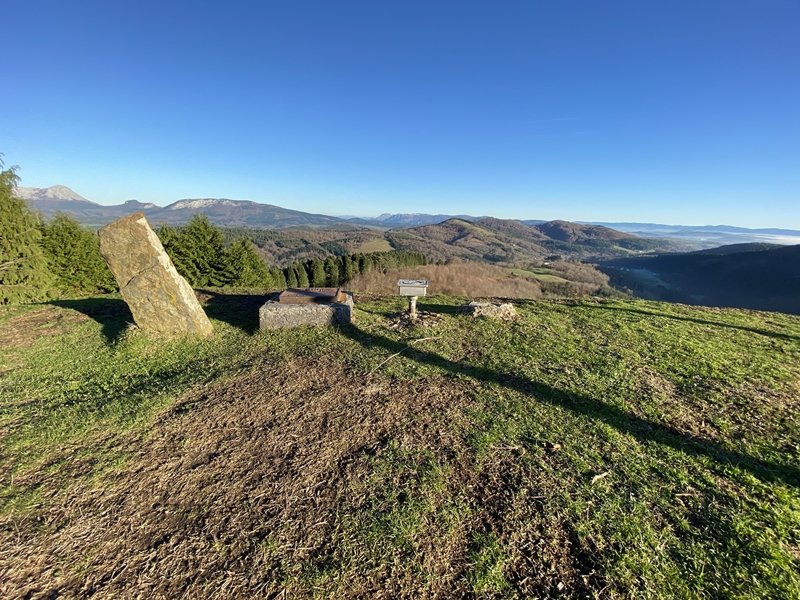 Tontorra
