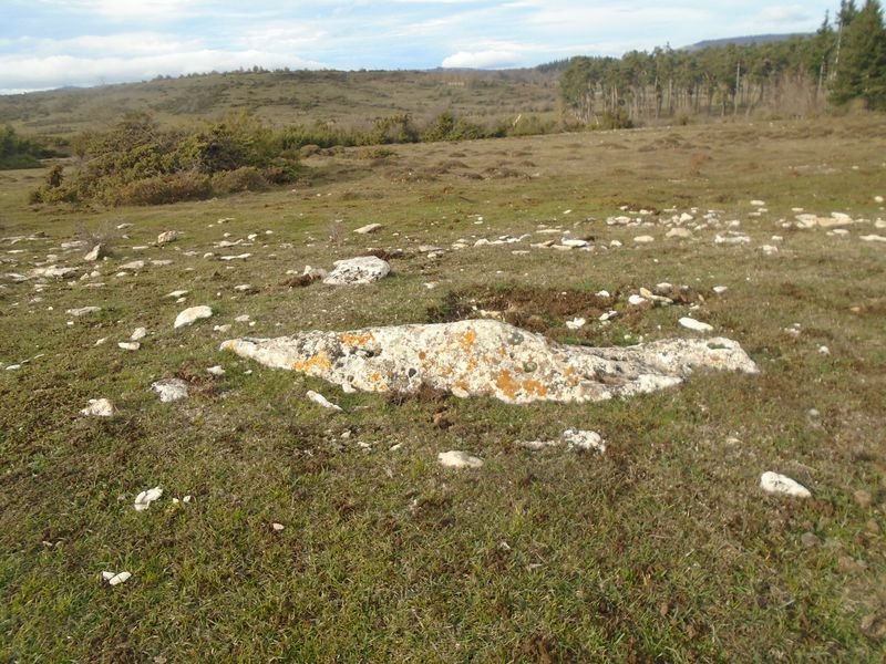 pinar de urbasa sur