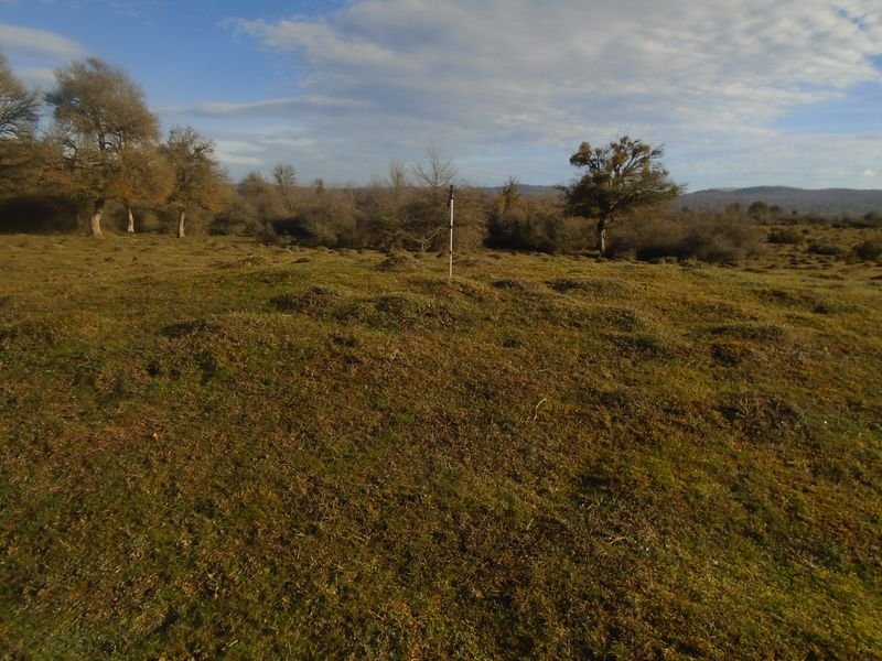 el espinar norte