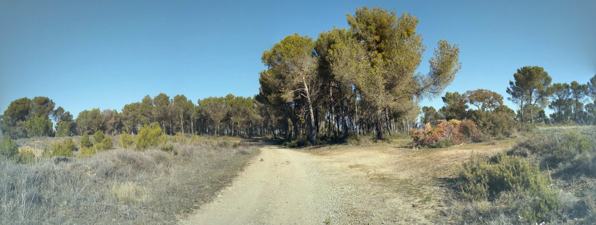 Gainaldea