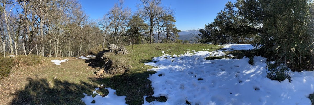 Tontorra