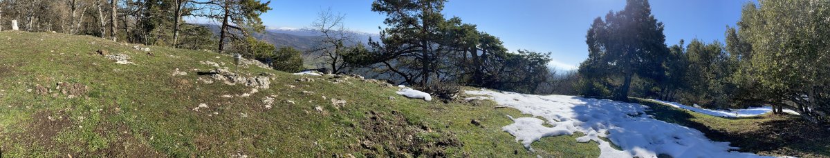 Tontorra