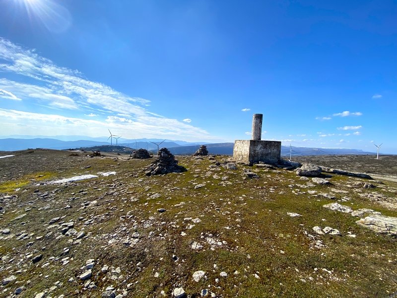 Tontorra