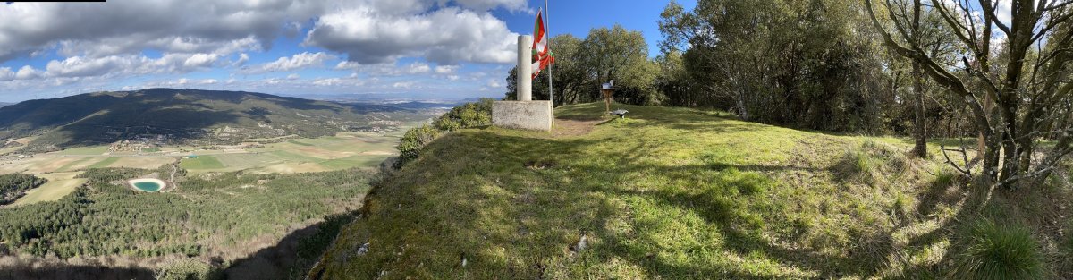Buzoia