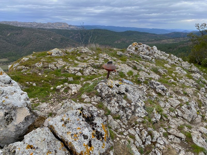 Tontorra