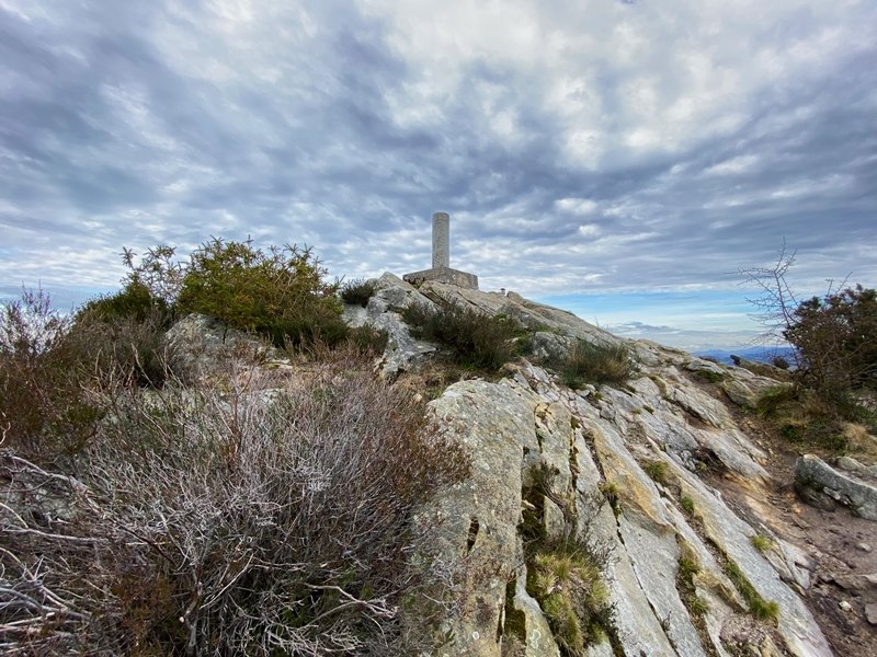 Tontorra