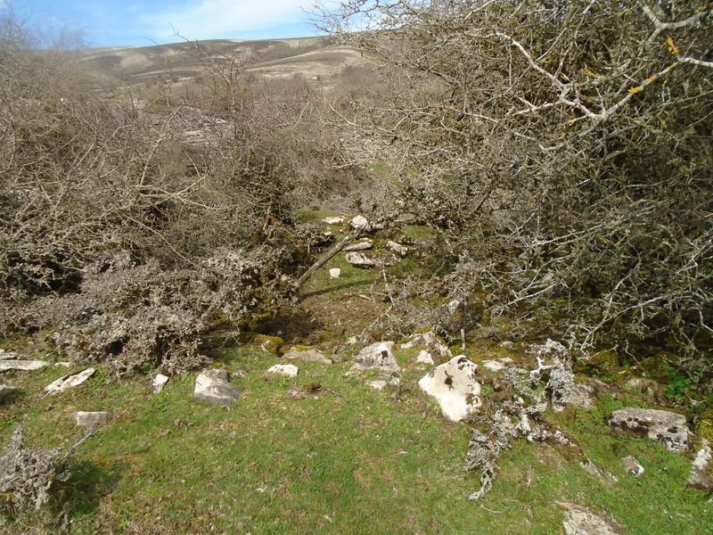 el orinal hego