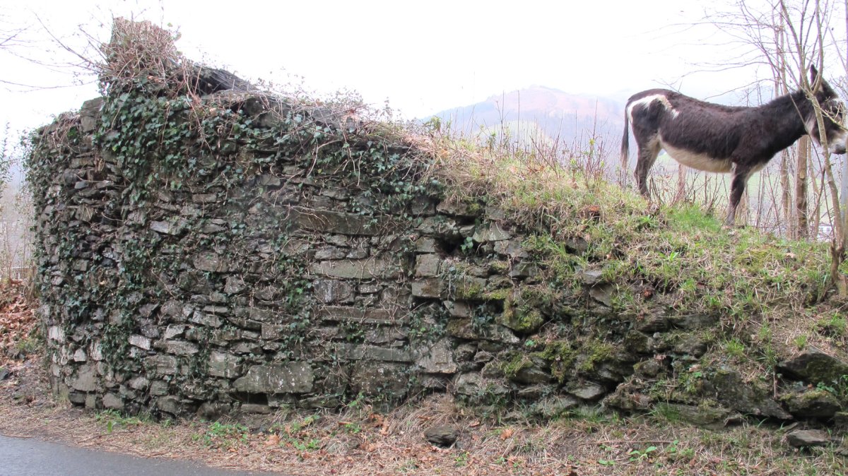 Karobia, Etxalar