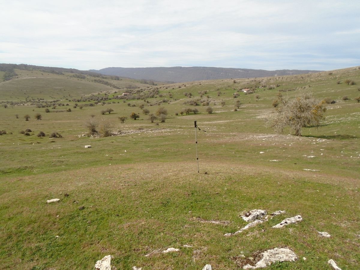 ritei 2
