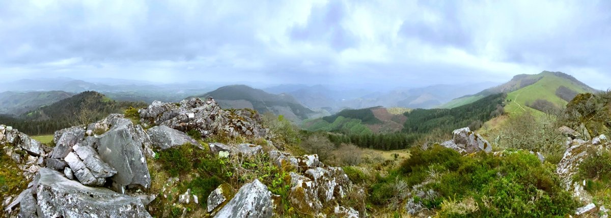 Tontorra