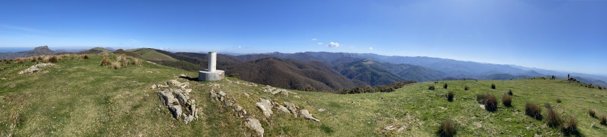 Tontorra