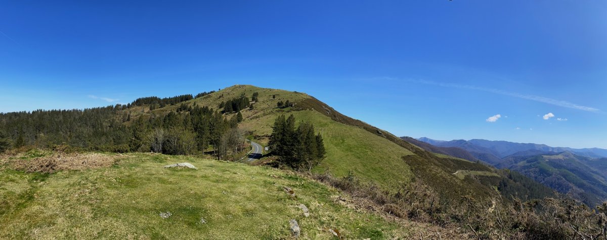 Bunaniarri